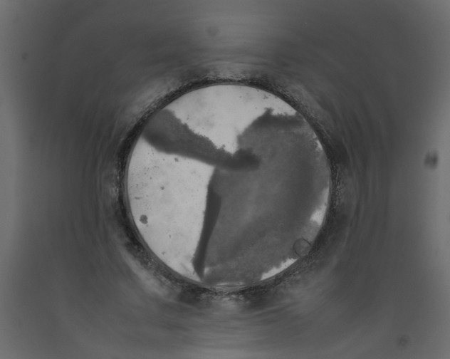 X0000092090683200710101101