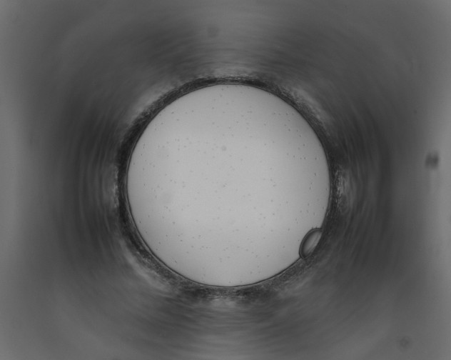 X0000092090684200710101101