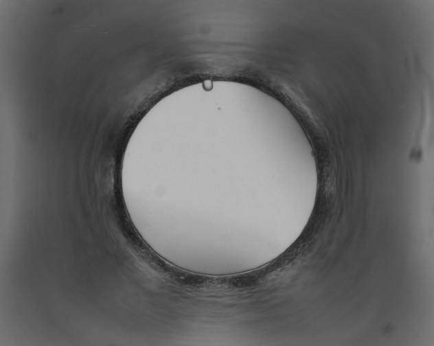 X0000092090685200710101101