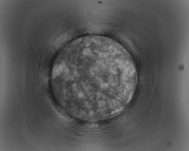 X0000092090687200710101101
