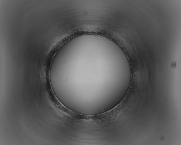X0000092090688200710101101