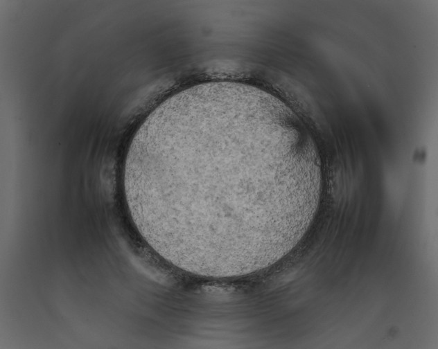 X0000092090690200710101101