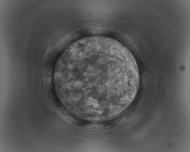 X0000092090691200710101101