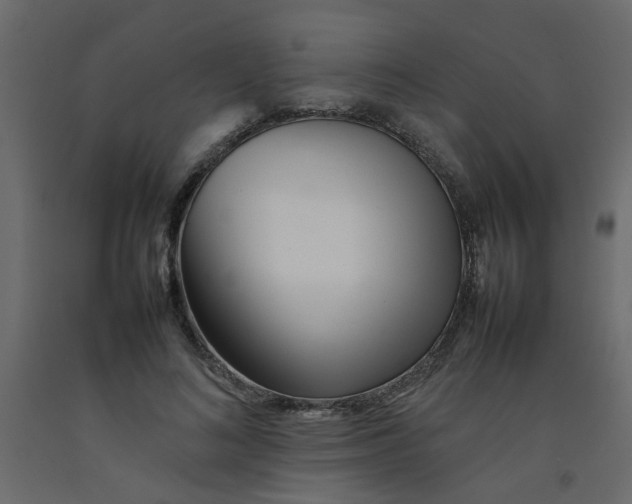 X0000092090692200710101101