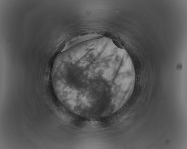 X0000092090695200710101101