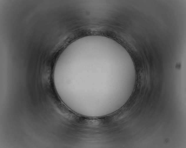 X0000092090698200710101101