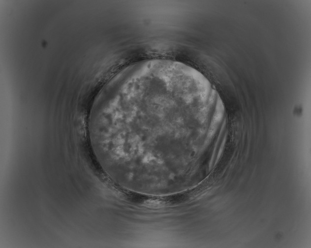 X0000092090699200710101101