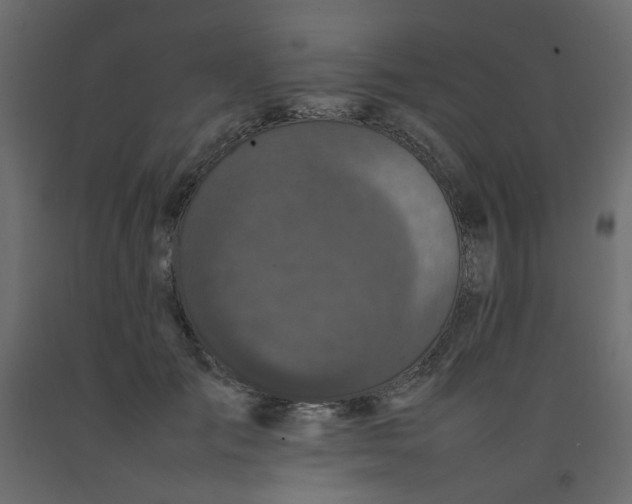 X0000092090701200710101101