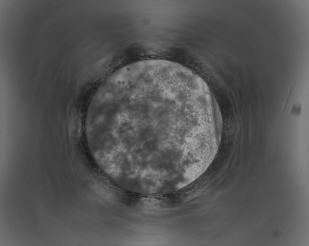 X0000092090703200710101101