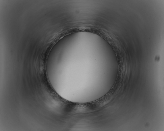 X0000092090704200710101101