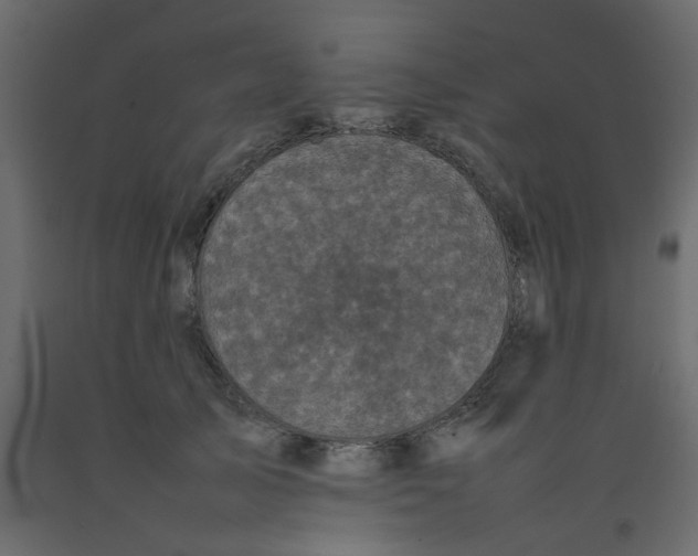 X0000092090705200710101101