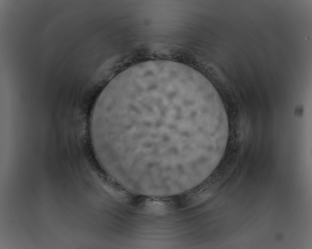 X0000092090706200710101101