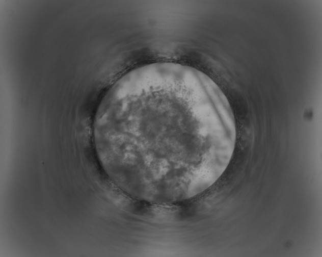 X0000092090707200710101101