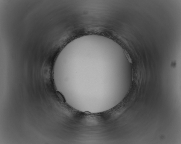 X0000092090708200710101101