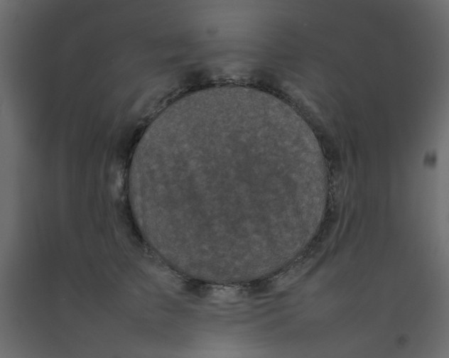 X0000092090709200710101101