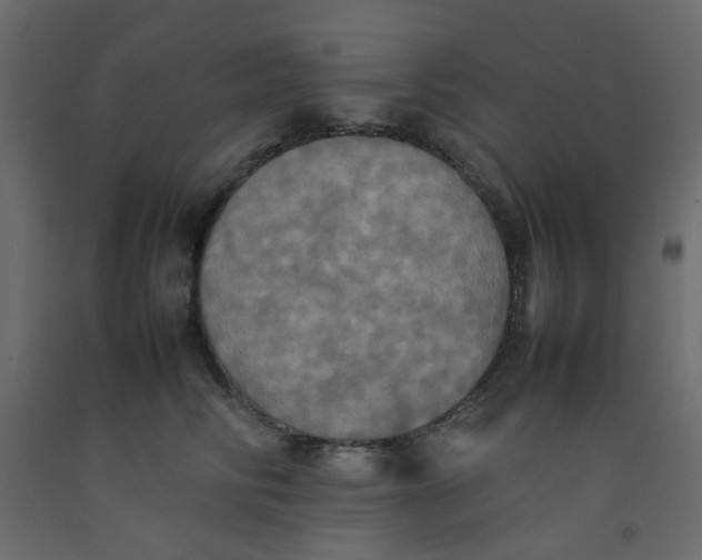 X0000092090710200710101101