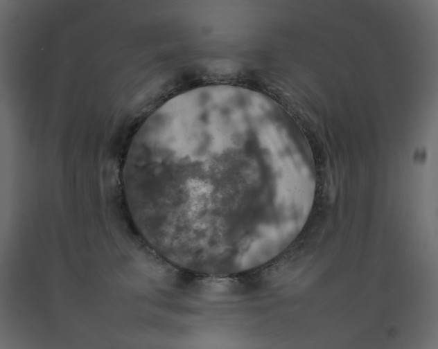 X0000092090711200710101101