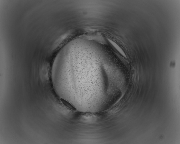 X0000092090712200710101101