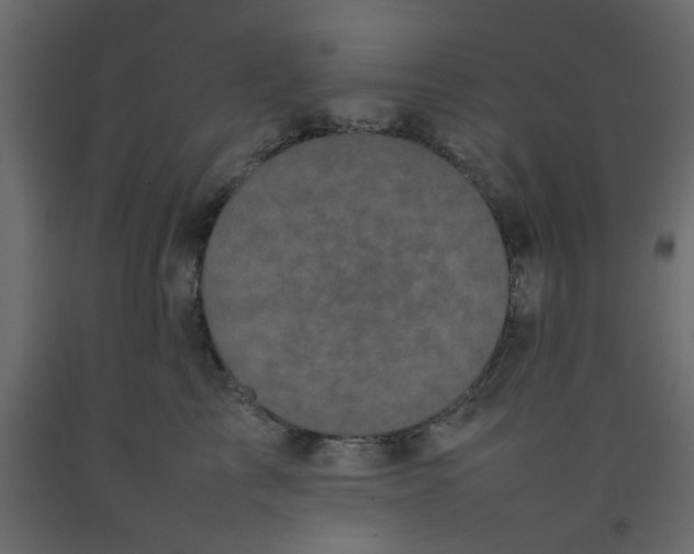 X0000092090713200710101101