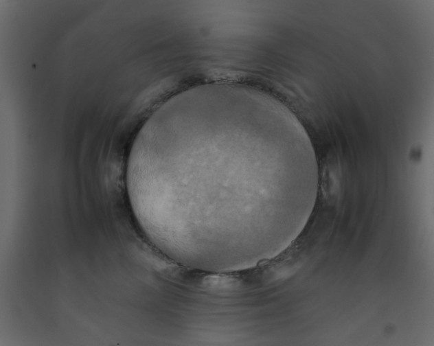 X0000092090714200710101101