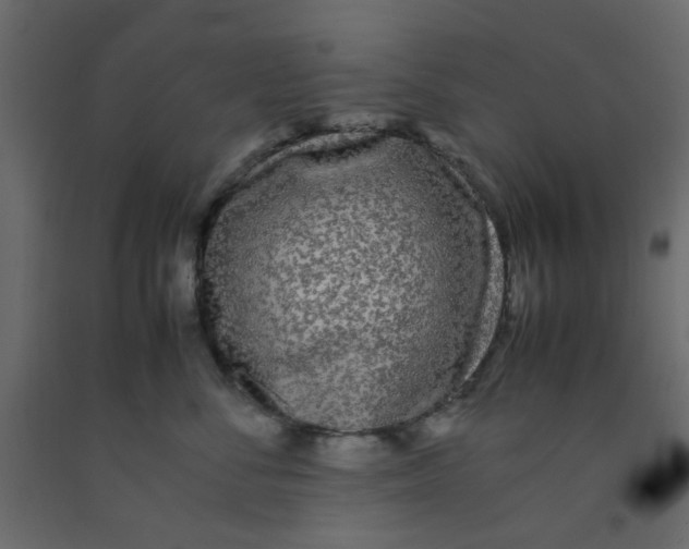 X0000092090716200710101101