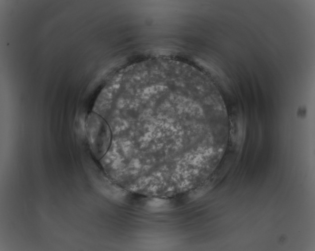 X0000092090718200710101101