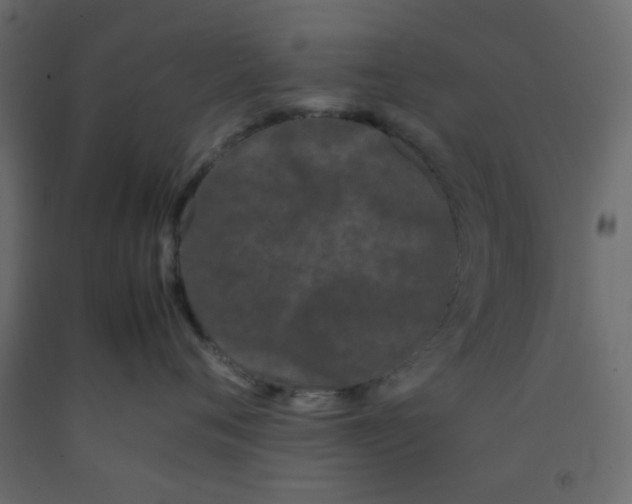 X0000092090720200710101101