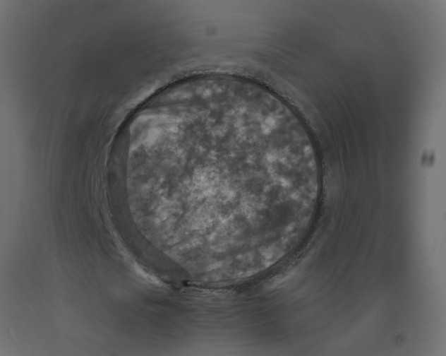 X0000092090721200710101100