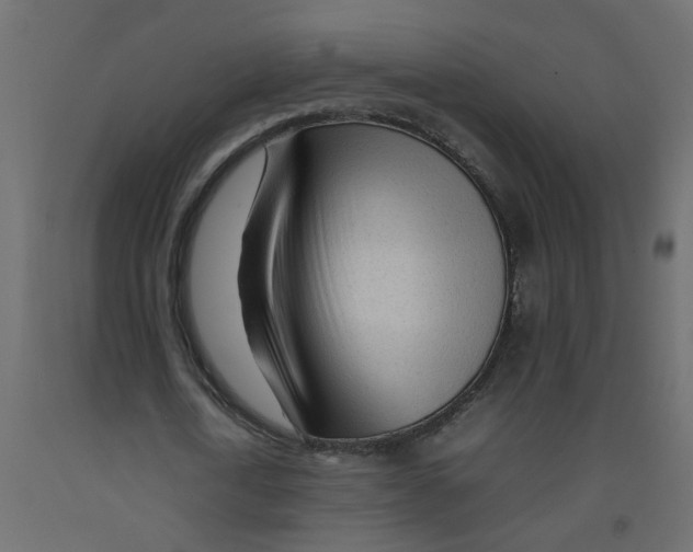 X0000092090722200710101100