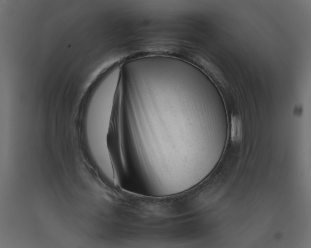 X0000092090723200710101100