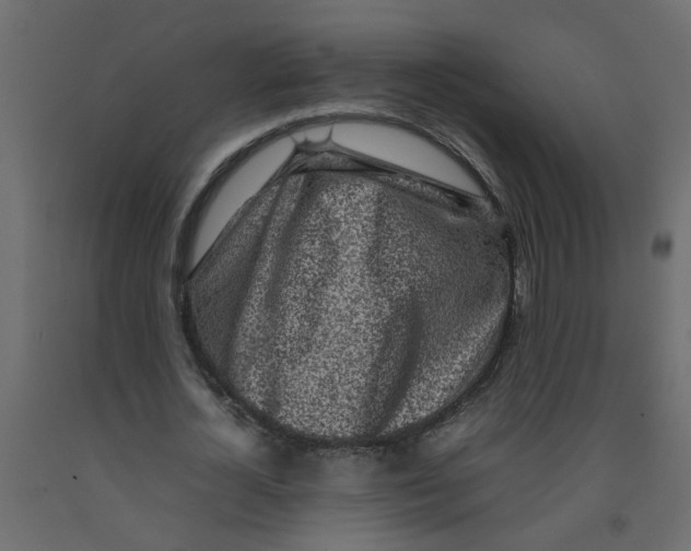 X0000092090724200710101100