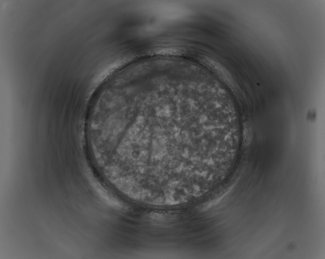 X0000092090725200710101100
