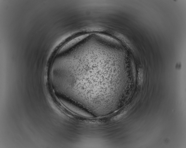 X0000092090726200710101100