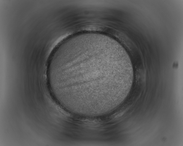 X0000092090727200710101100