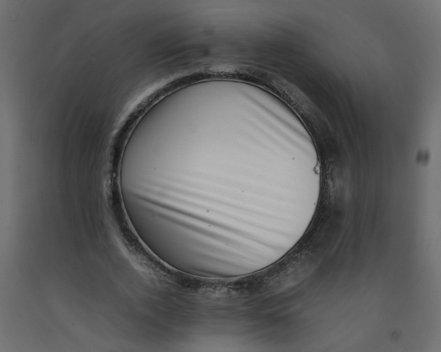 X0000092090728200710101100