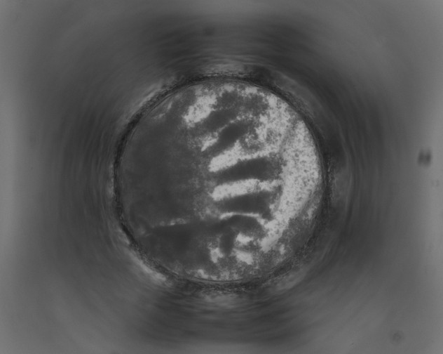 X0000092090729200710101100