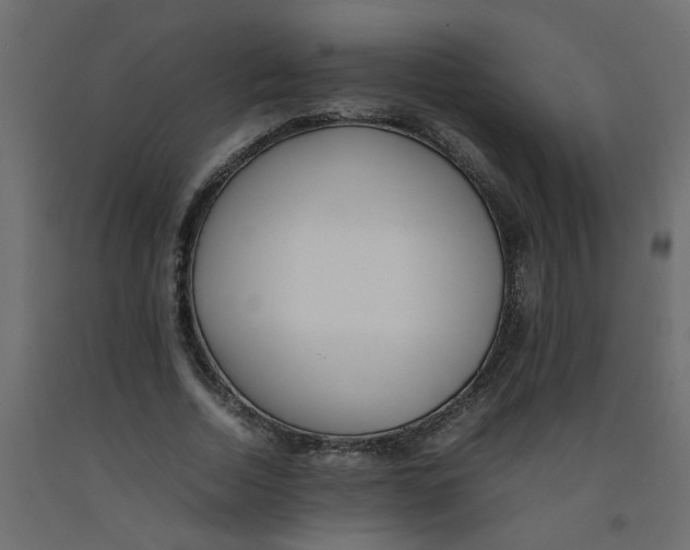 X0000092090730200710101100