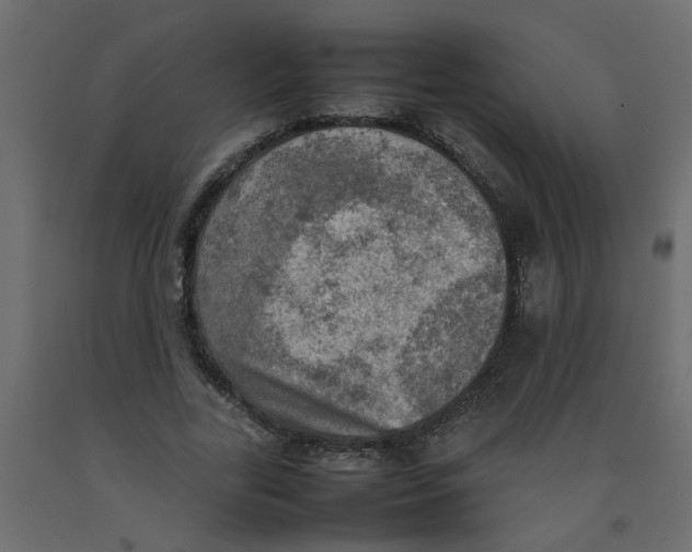 X0000092090731200710101100