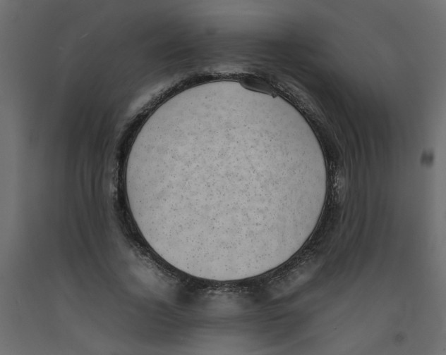X0000092090732200710101100