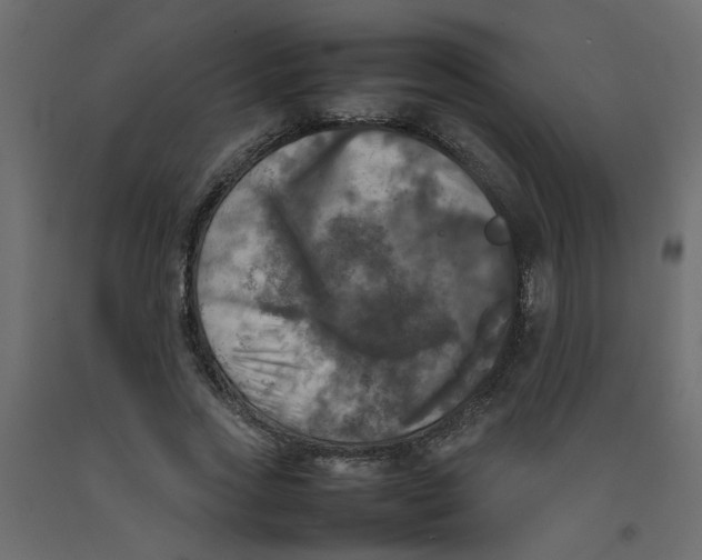 X0000092090733200710101100