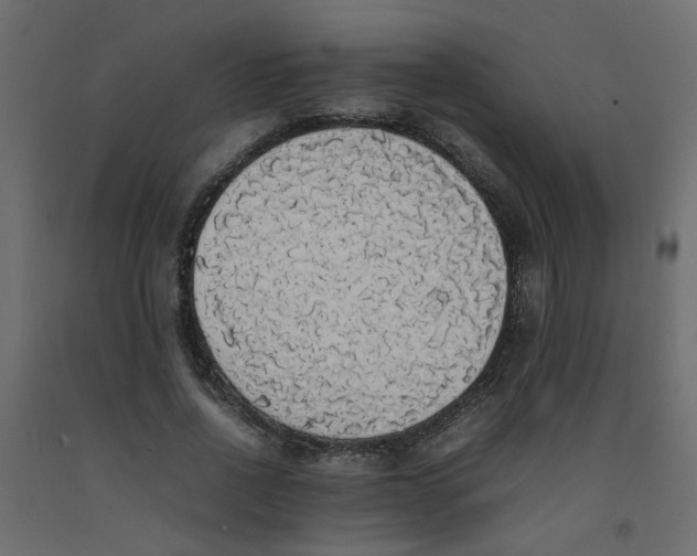 X0000092090734200710101100