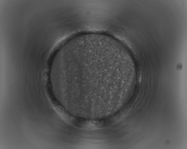 X0000092090736200710101100