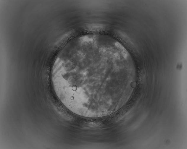 X0000092090737200710101100