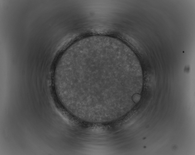 X0000092090738200710101100