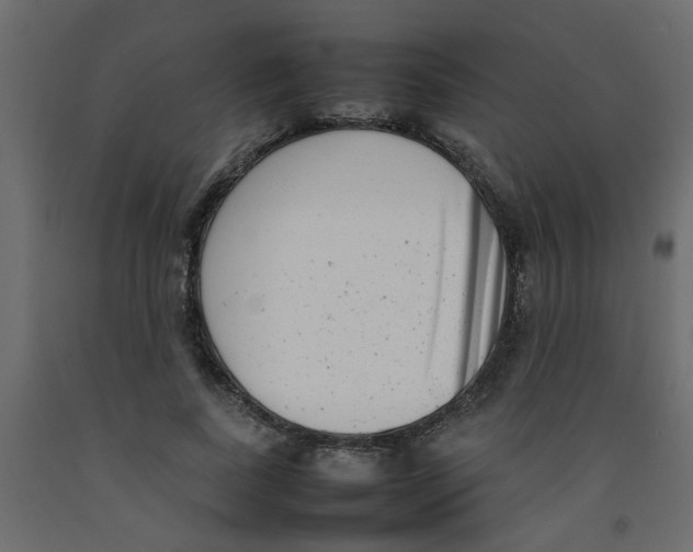 X0000092090739200710101100