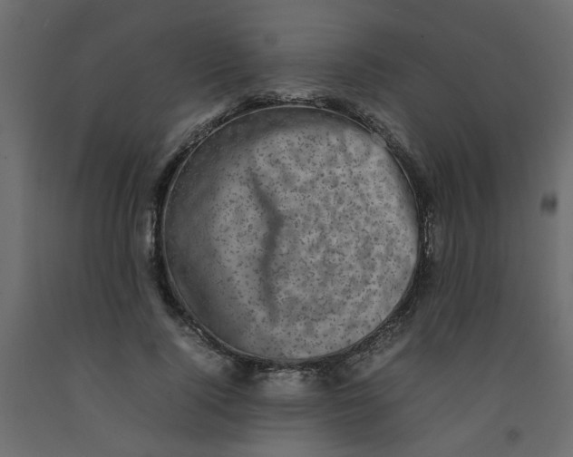 X0000092090740200710101100