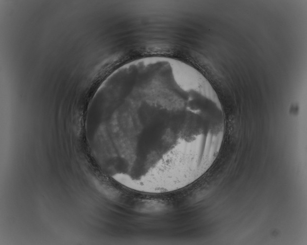 X0000092090741200710101100