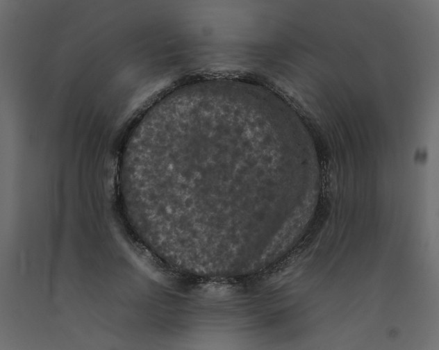 X0000092090742200710101100
