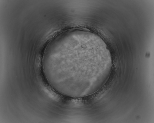 X0000092090744200710101101
