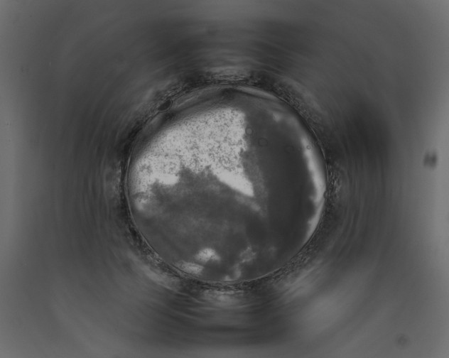 X0000092090745200710101101
